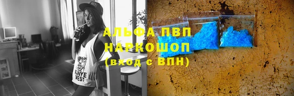 apvp Тайга