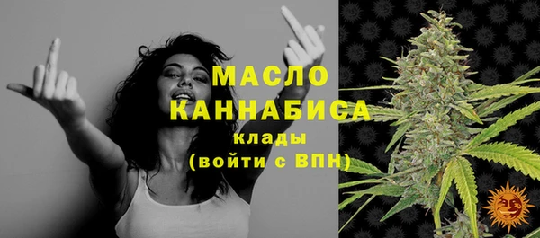 МДПВ Инта
